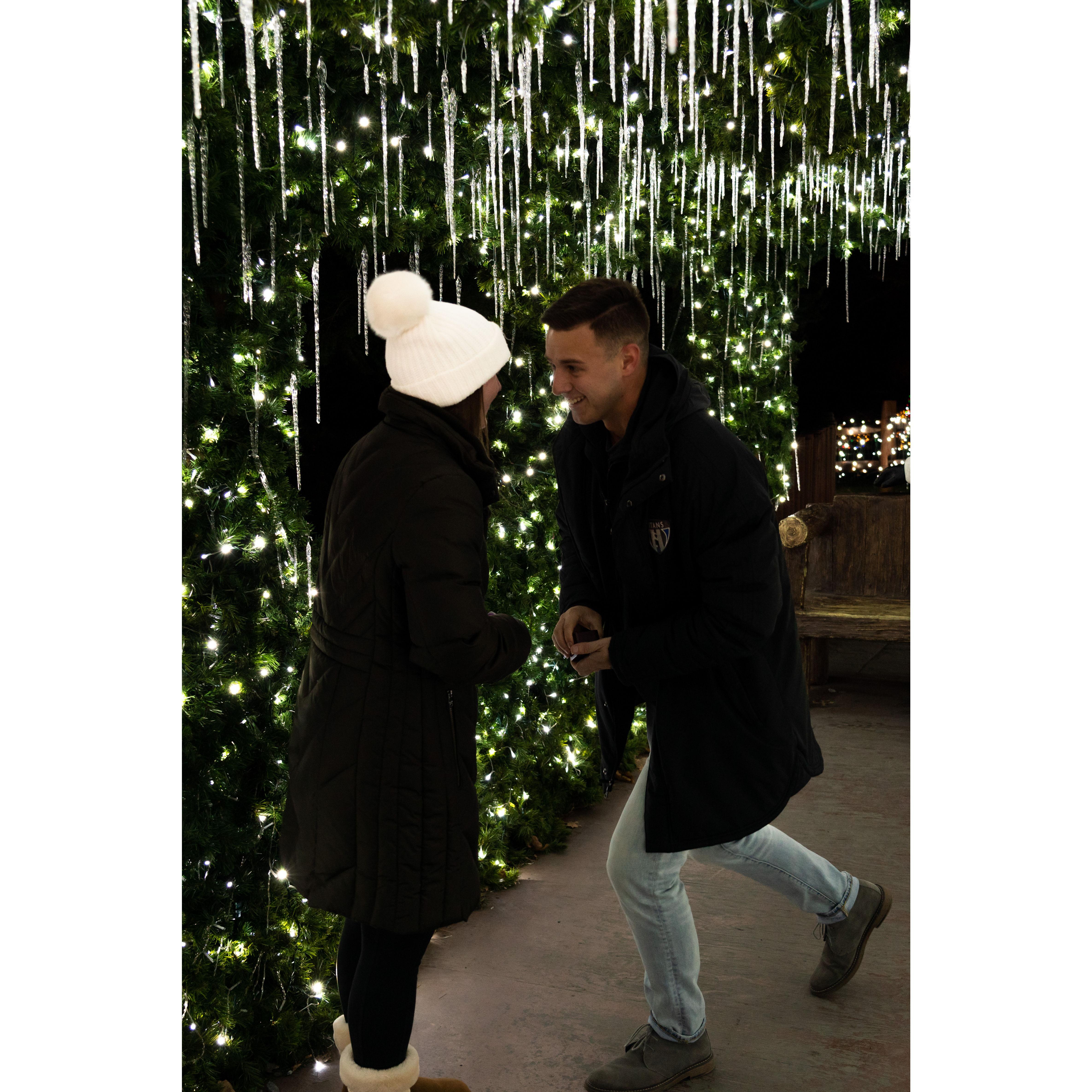 The proposal!