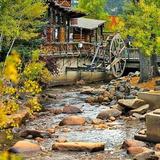 Shopping in Downtown Estes
