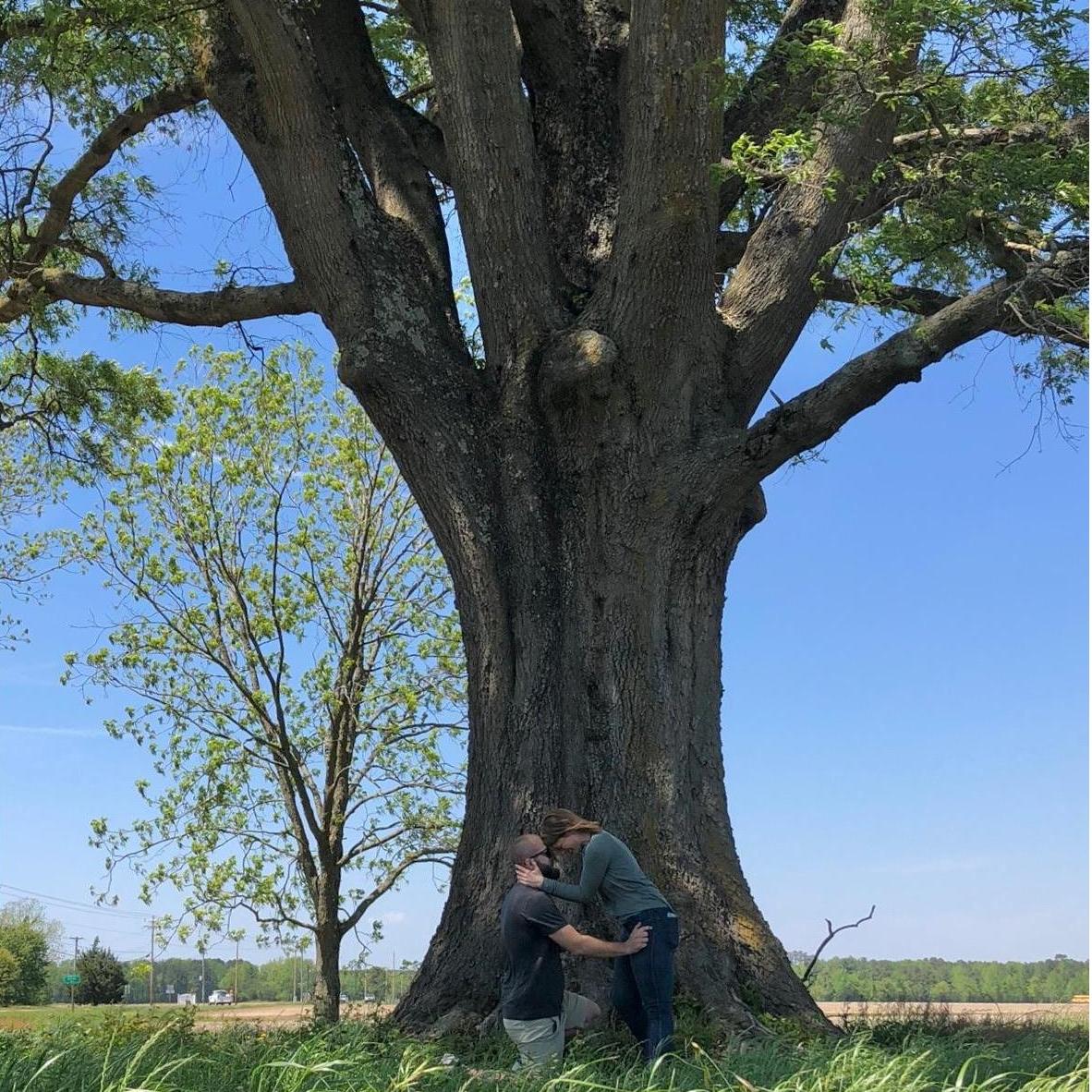 Will proposed to Abby underneath the tree that still stands on her grandmother's old property.