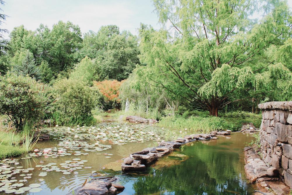 The Wedding Website of Juliet Medley and Daniel Blackhurst