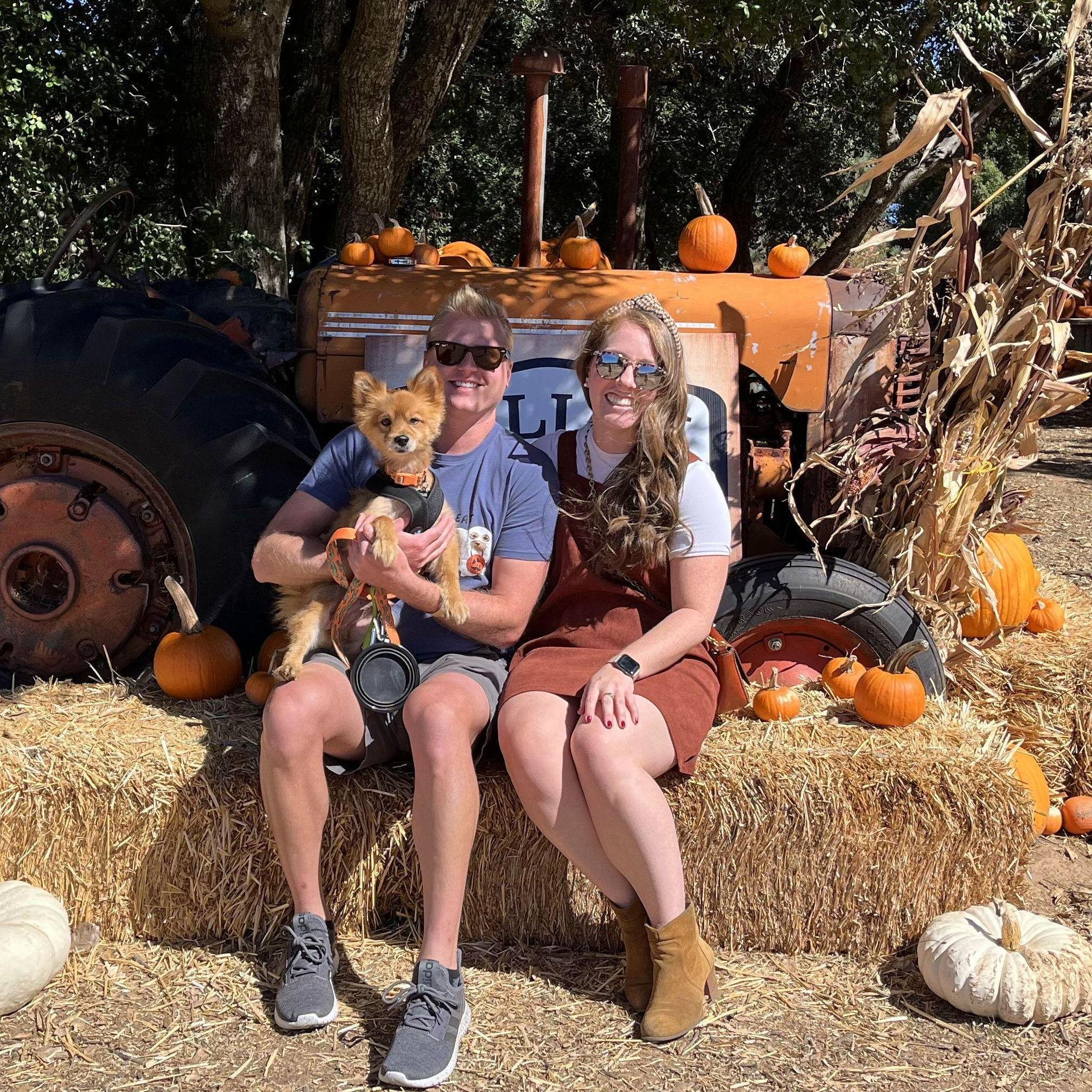 Visiting the pumpkin patch with little Simba