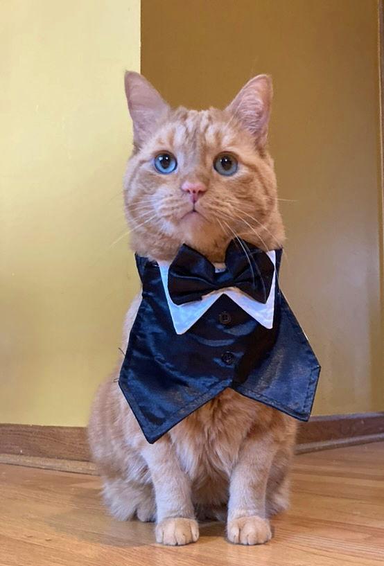 The Wedding Website of Morgan Grimm and Josh Lareau