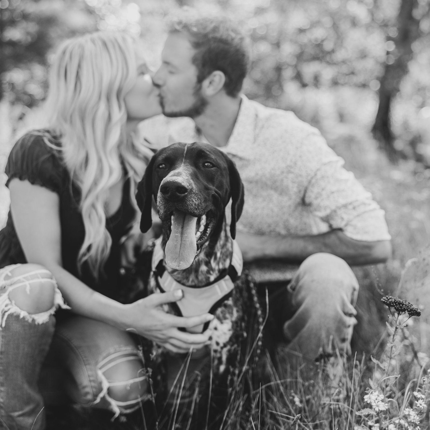 Our sweet Boone!
