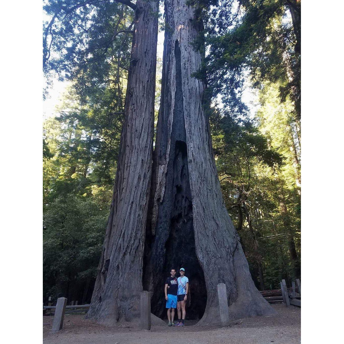 Racing the 2017 National Series took us to Monterey California where we "recaationed" and got to visit the Big Basin Redwoods
