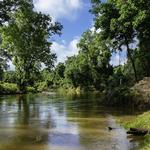 Eastern Glades - Memorial Park