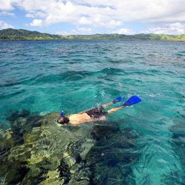Snorkeling Adventure