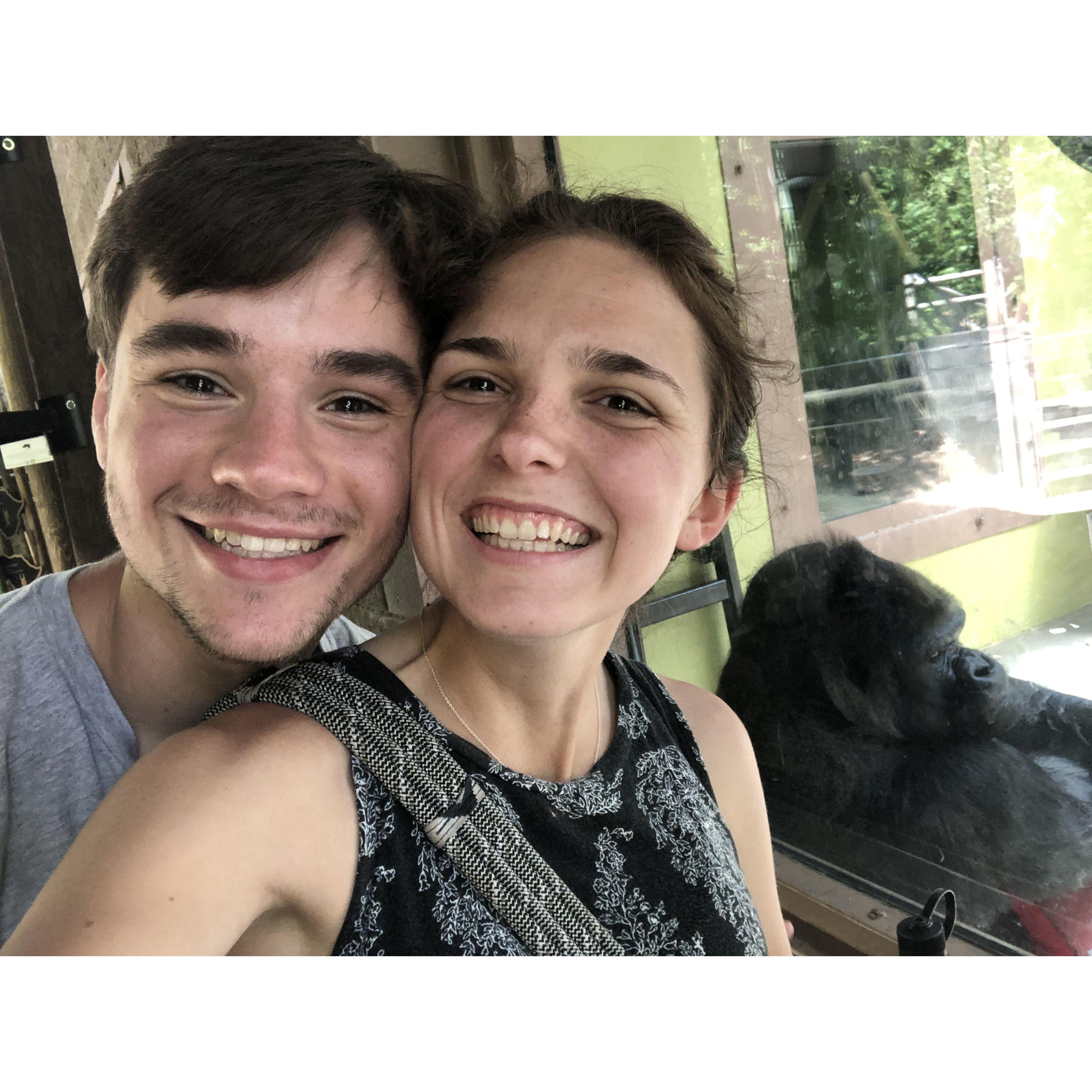 The happiest place on earth is where the gorillas are (June 22)