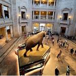 Smithsonian National Museum of Natural History