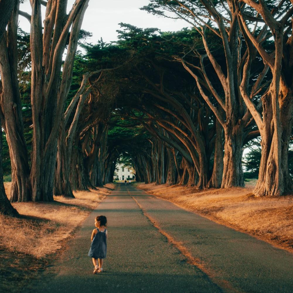 Point Reyes