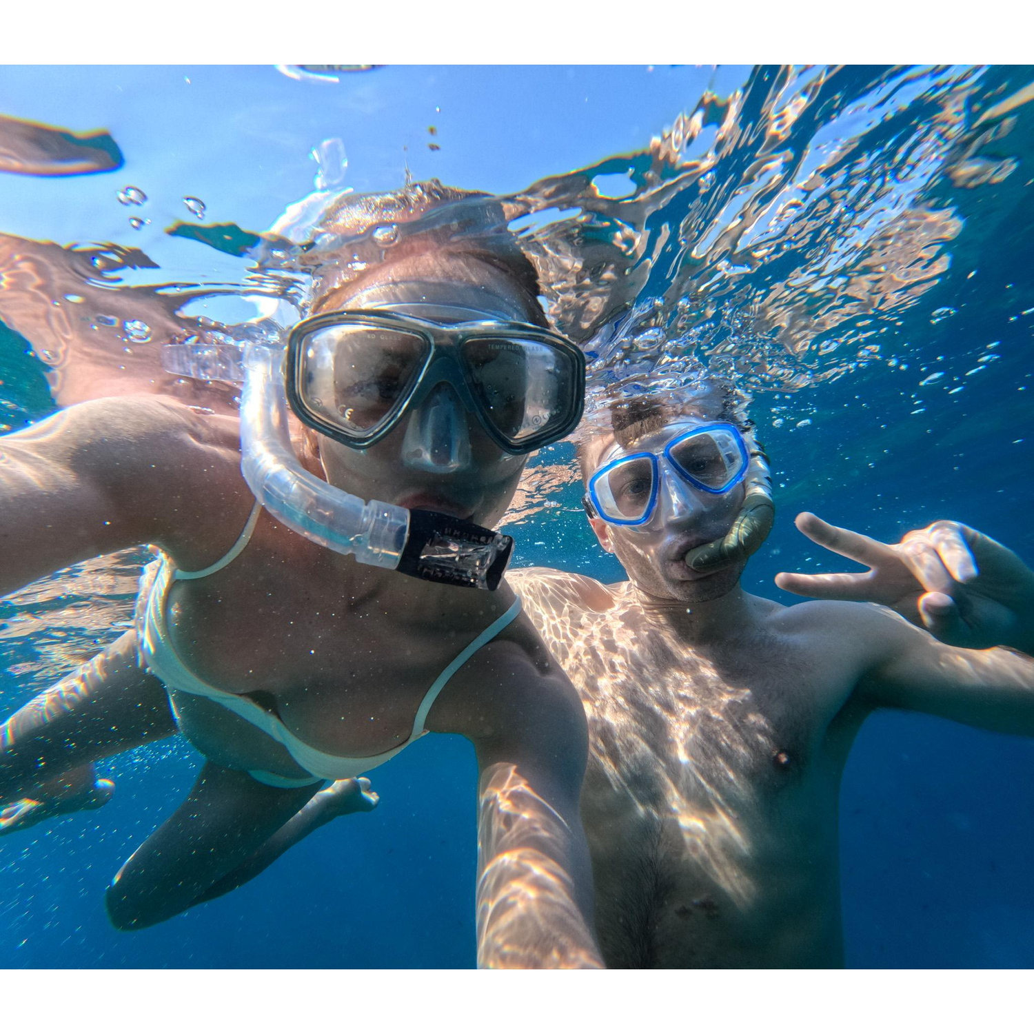 Scuba no sharks.