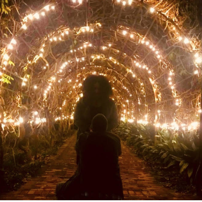 The proposal!
