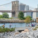 Brooklyn Bridge Park
