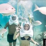 Walk under the sea!