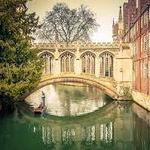 Go on a punting tour!