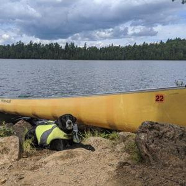 Donations to Save the Boundary Waters