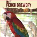 The Perch Brewery