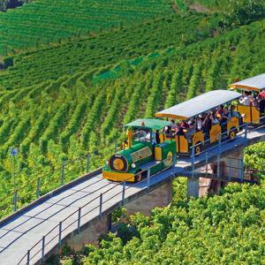 Lavaux Wine Tour
