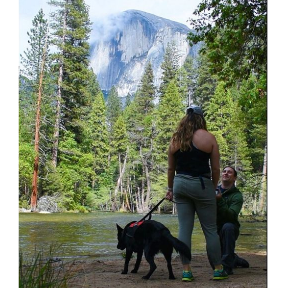 ENGAGED in Yosemite National Park 6/2/19