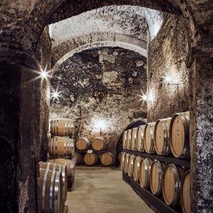 Visit to Cantina De' Ricci in Montepulciano