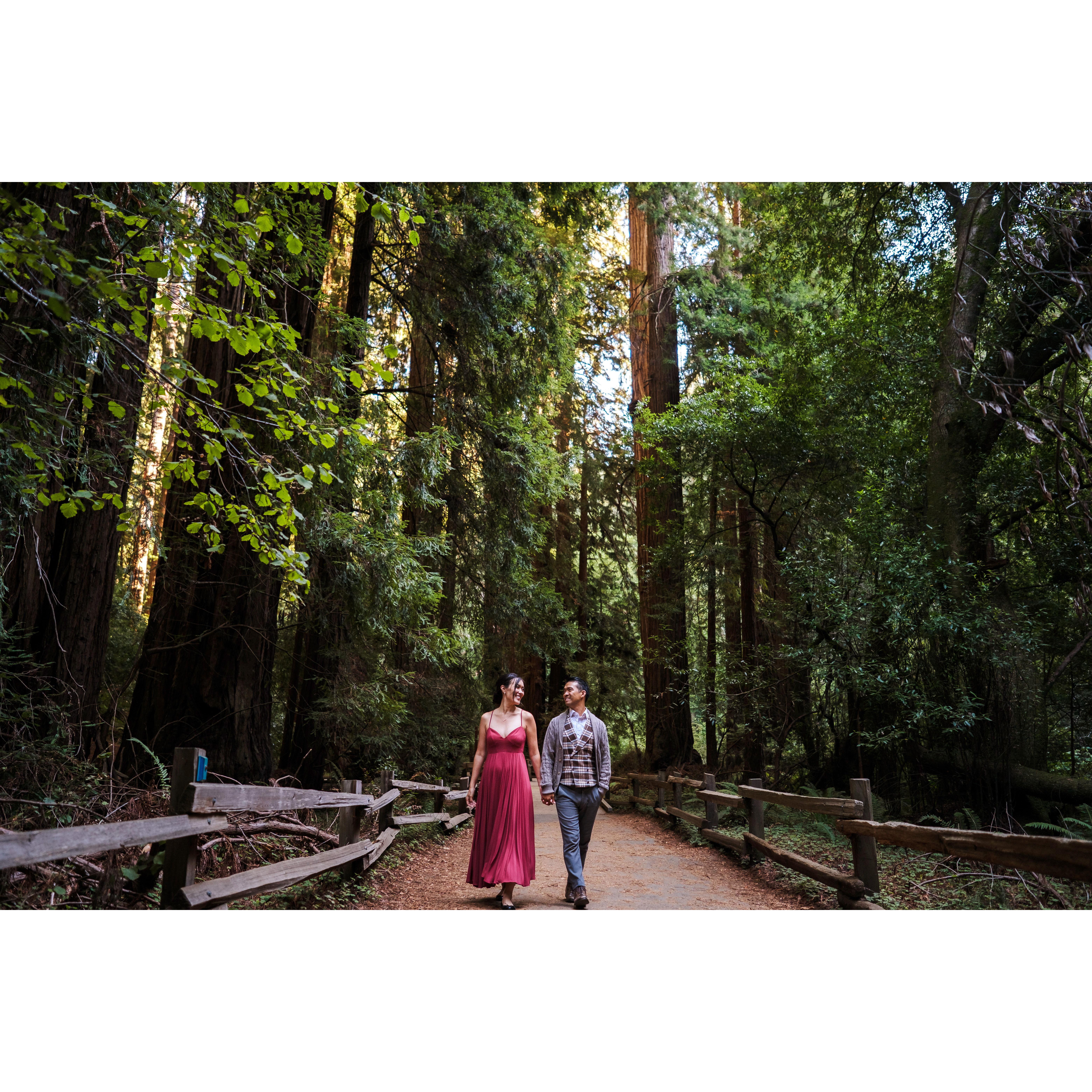 Engagement Photos @ Muir Woods