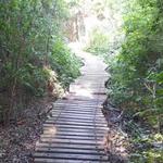 Erwin Park