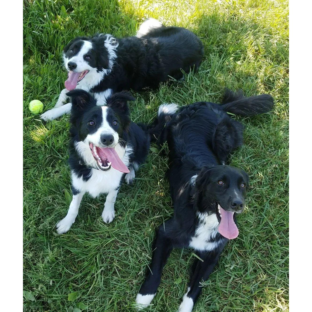 Our babies
