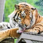 Cleveland Metroparks Zoo