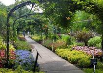 Cheekwood Botanical Gardens