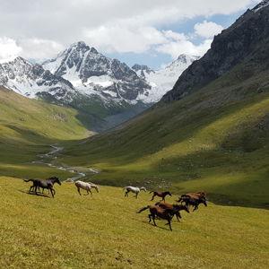 Kyrgyzstan Horseback Honeymoon