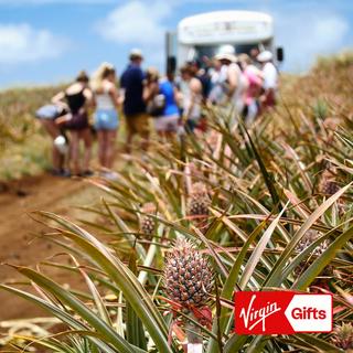Maui Pineapple Farm Tour for 2 - Hawaii