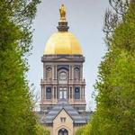 The Golden Dome