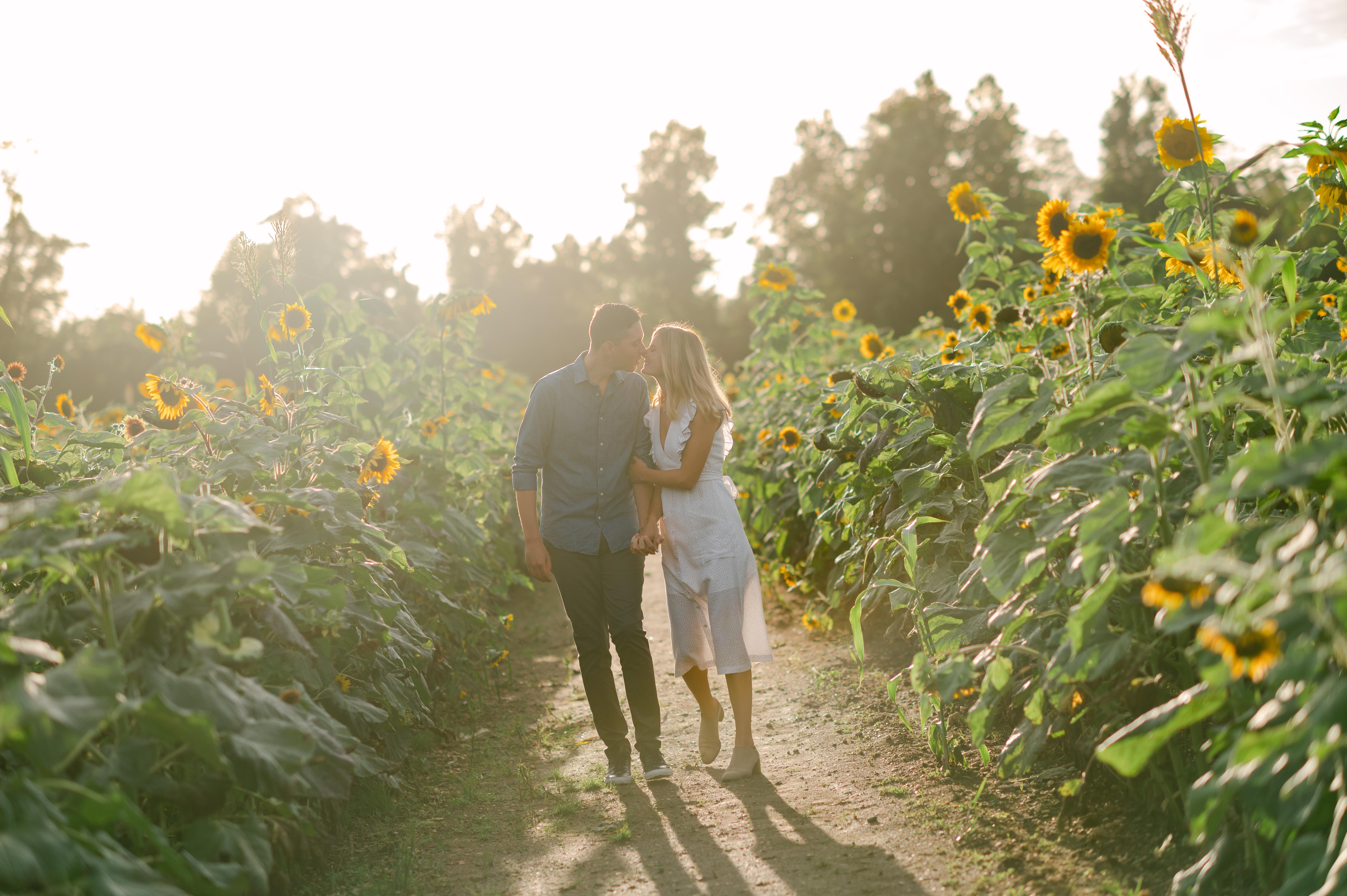 The Wedding Website of Sara Pollack and Shaun Prunotto