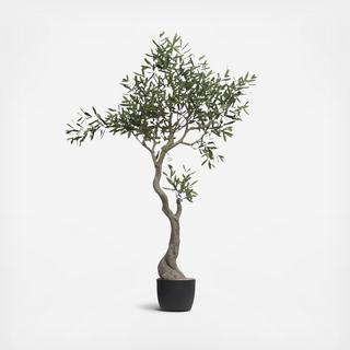 Faux Olive Tree in Pot