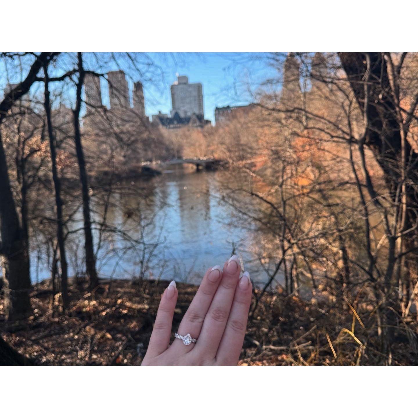 The Ring!