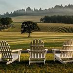 Stoller Family Estate