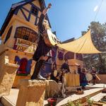 Colorado Renaissance Festival (8/7/22)*