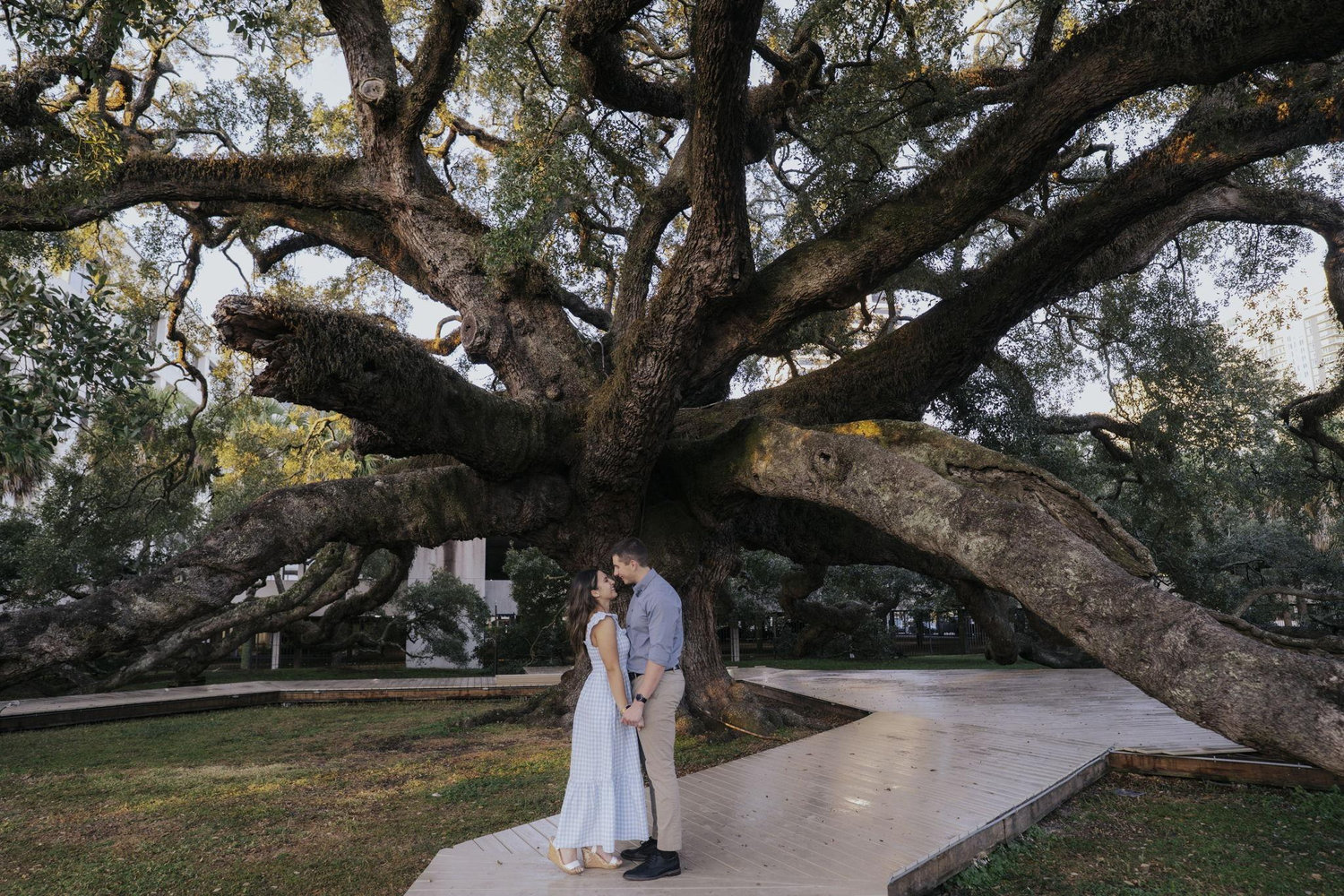 The Wedding Website of Joseph Morley and Sofia Martinez
