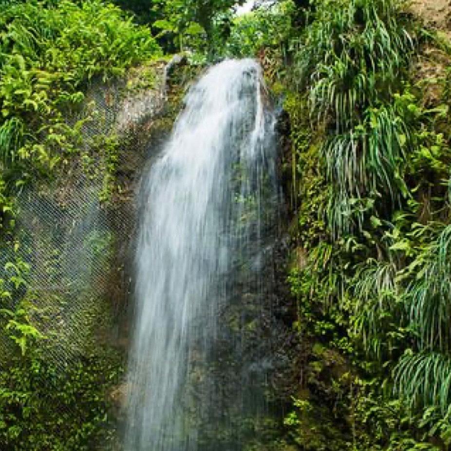 Soufriere/Waterfall Tour