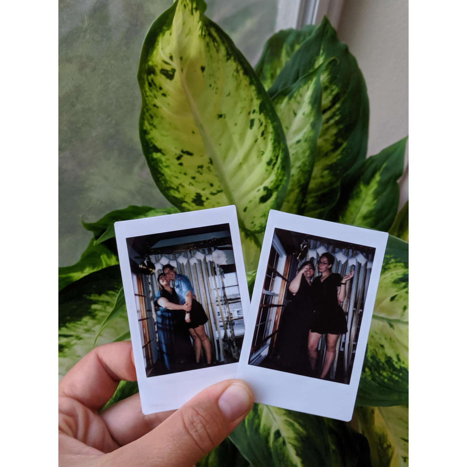 Kennebunkport ME 2019
Lizzie and Jeff's wedding!!