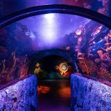 SEA LIFE San Antonio