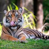 Denver Zoo