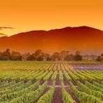 Napa Valley