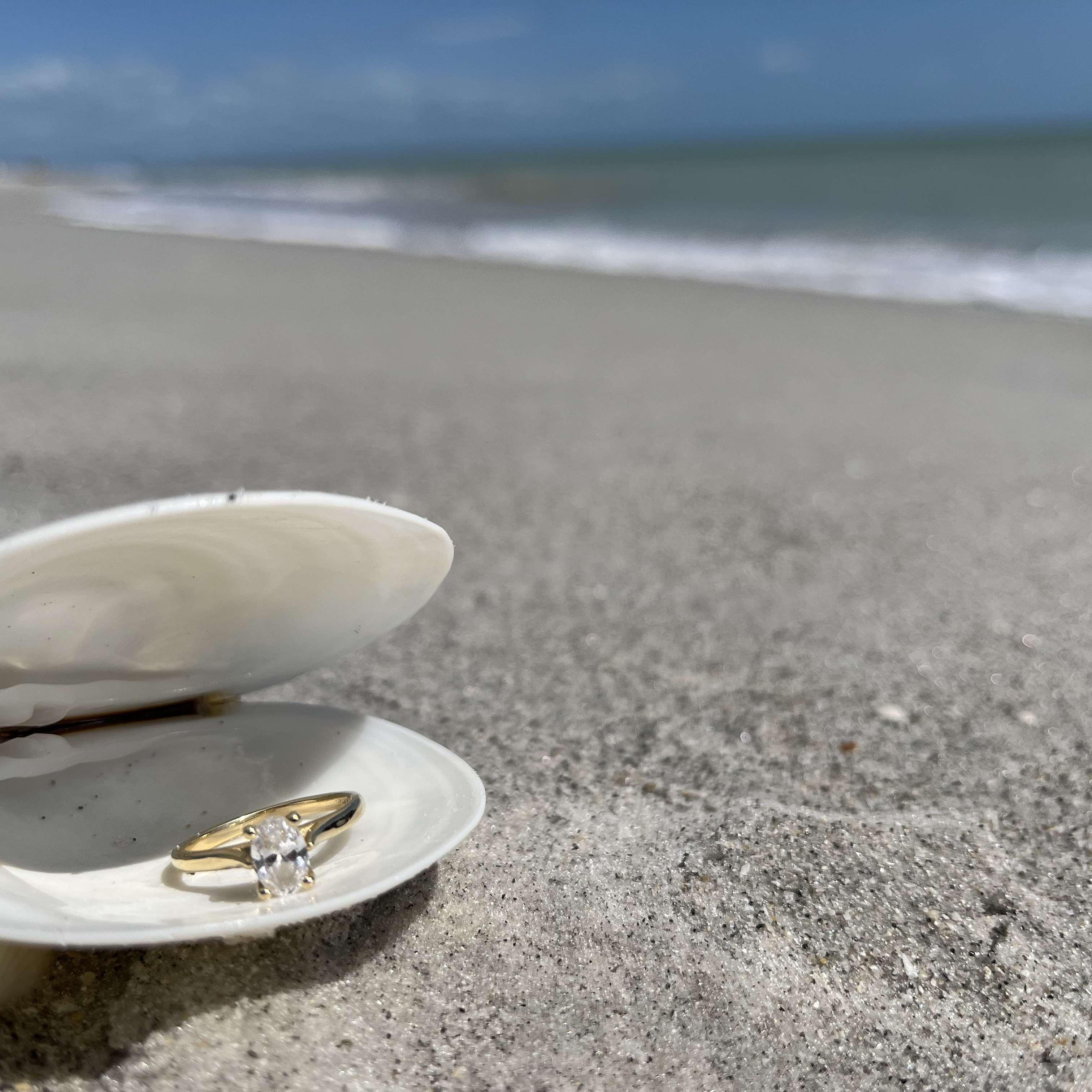 North Captiva Island is where the proposal happened.