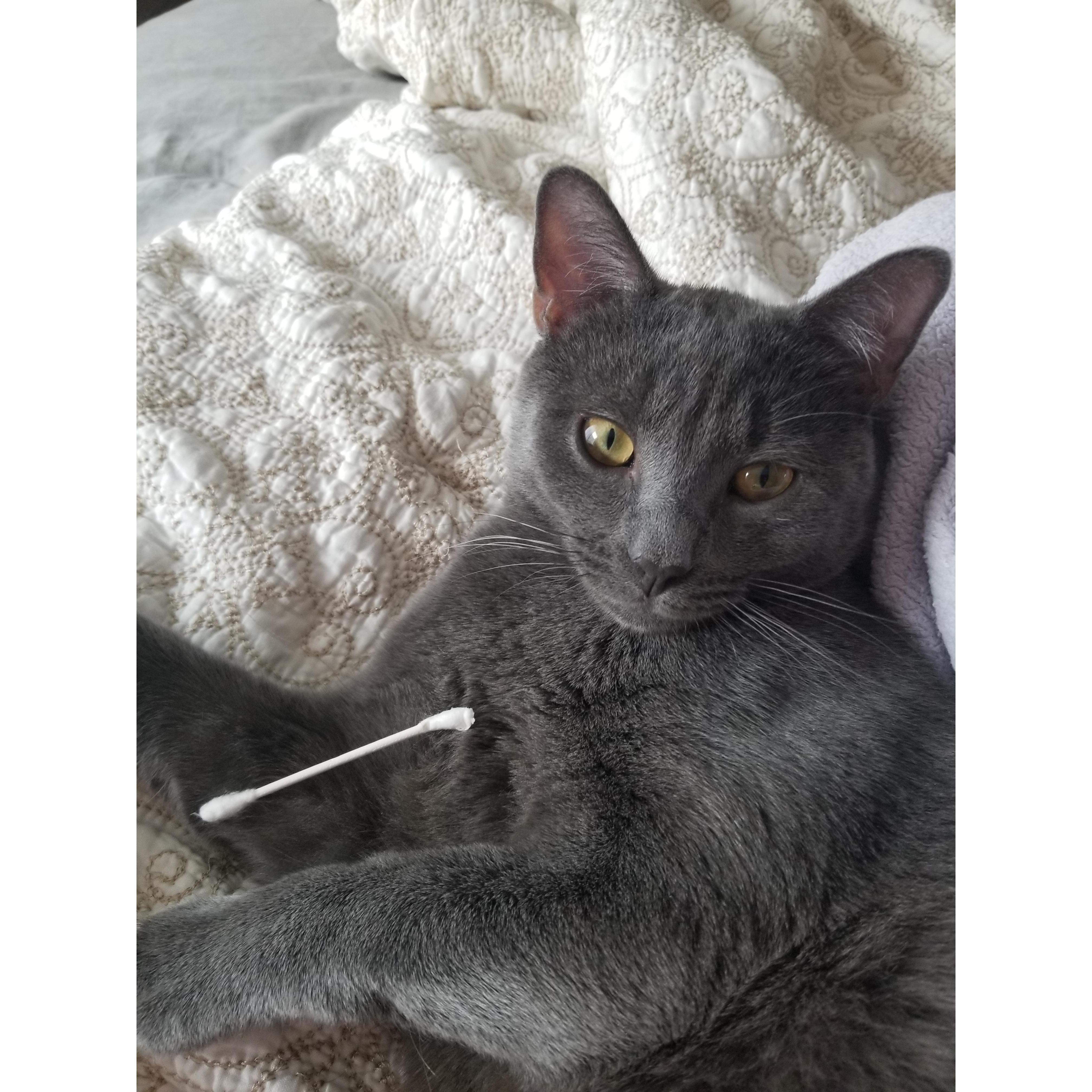 Our sweet boy Roman!