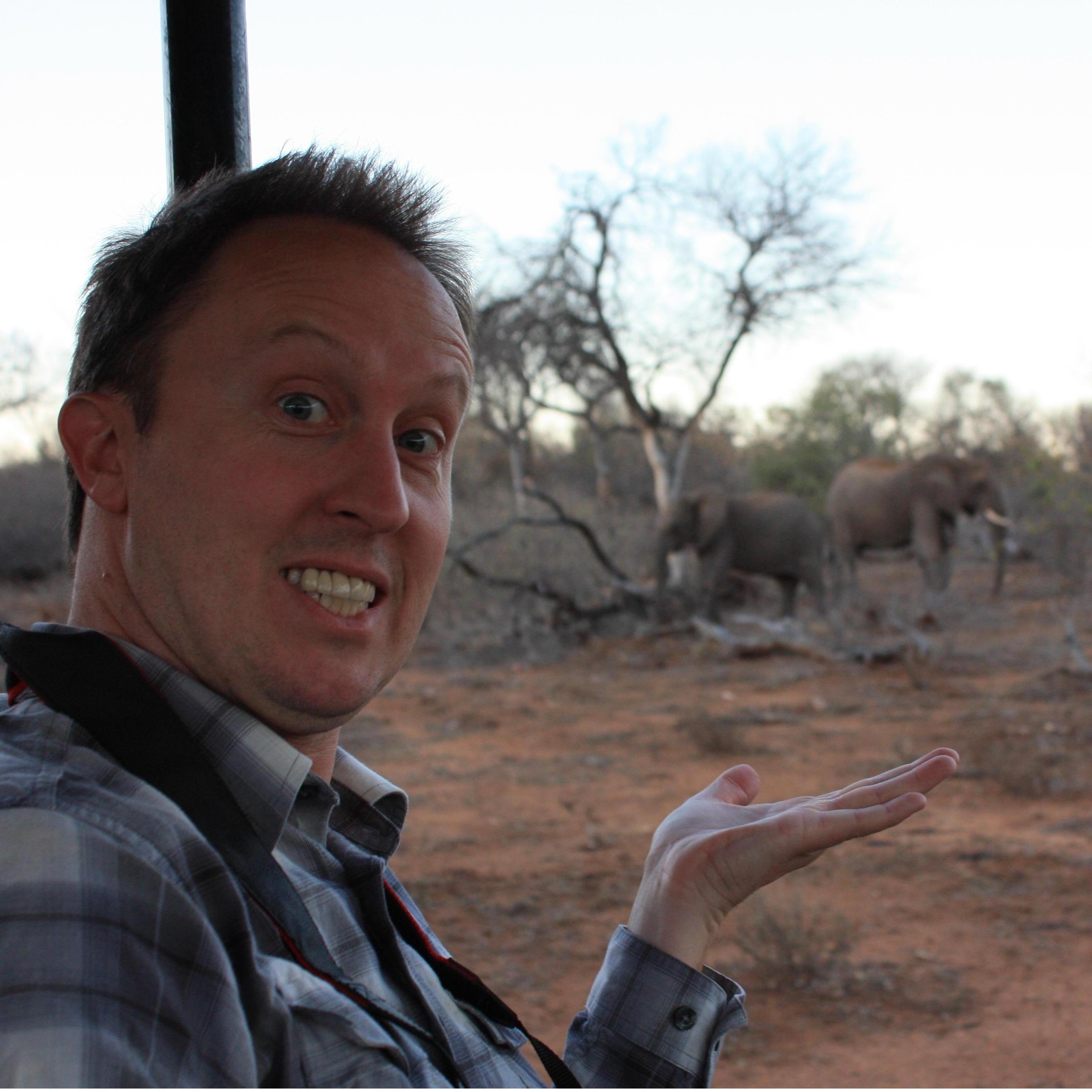 Presenting Elephants!