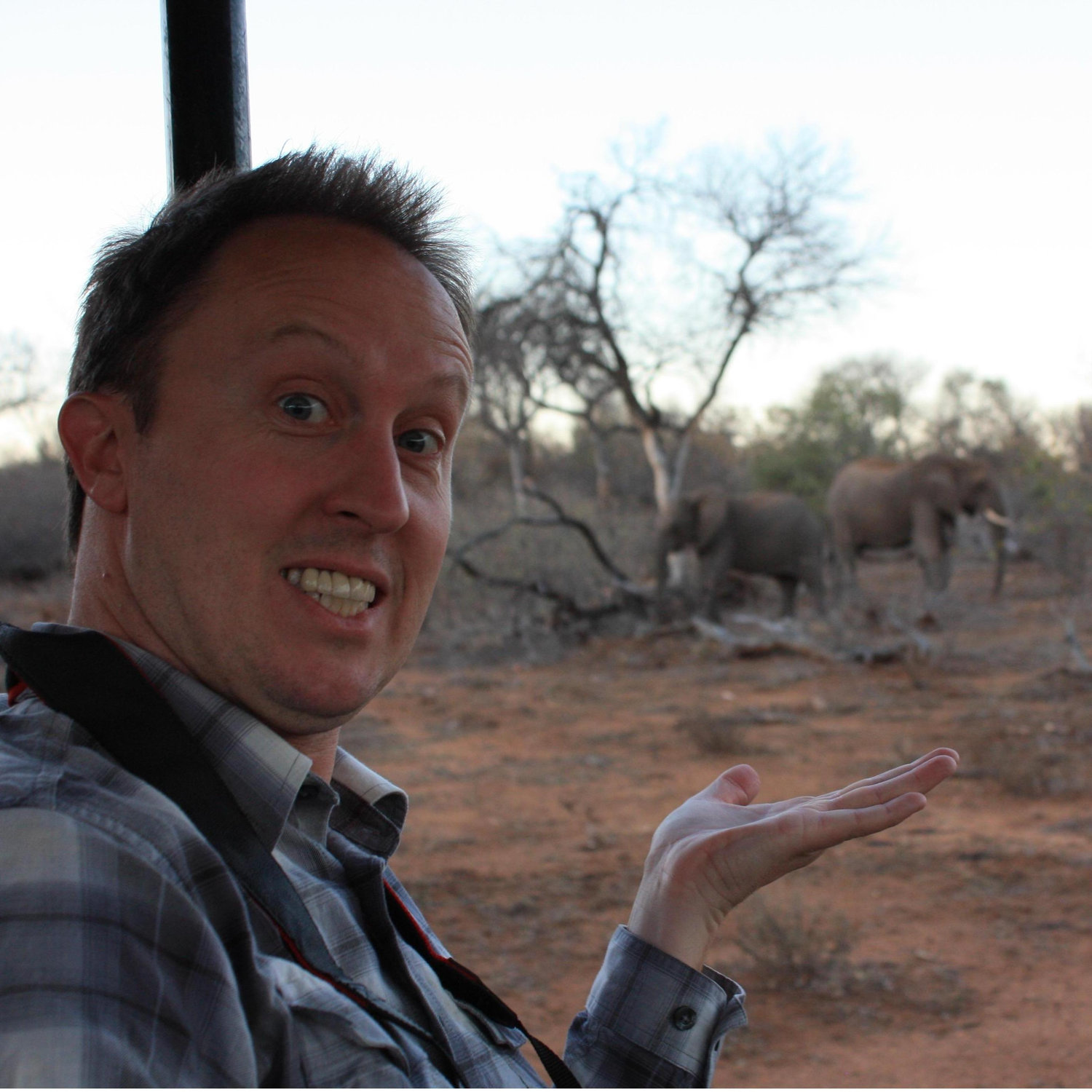 Presenting Elephants!