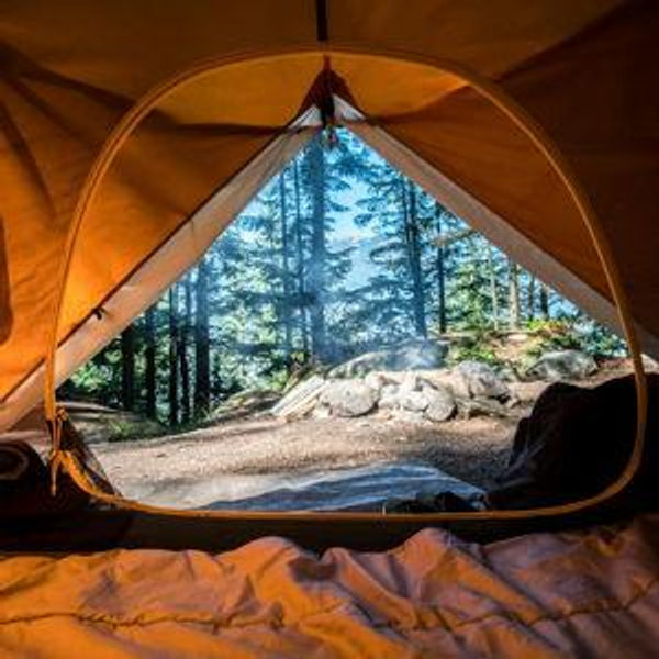 Honeymoon Cash Fund
