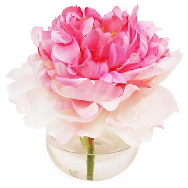 7" Peony in Bubble Vase