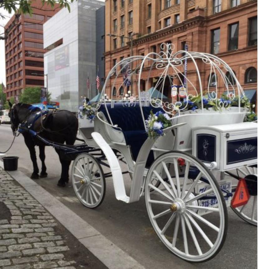 The Wedding Website of Tony Grant and Tia Gibson