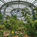 The Huntington Library, Art Museum, and Botanical Gardens
